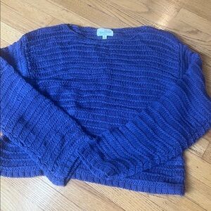 NWT Pacsun Your Favorite Blue Knit Sweater Size Large